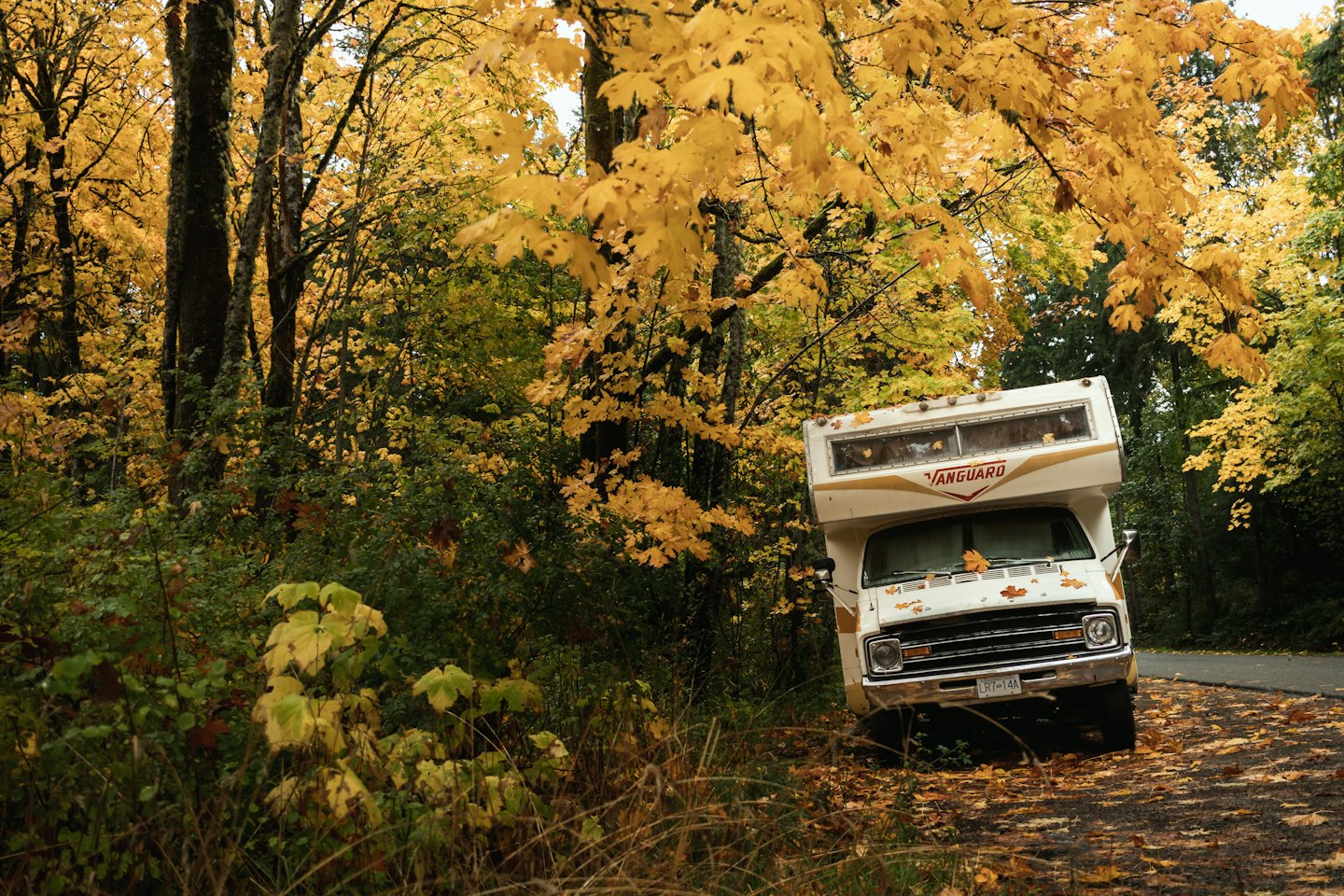 Oldtimer-Wohnmobil auf schmaler Herbststraße im Wald.